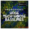 Catalyst Samples Ingredient Huge Tech-House Basslines (WAV MiDi AiFF) - сэмплы Tech House Catalyst Samples Ingredient Huge Tech-House Basslines (WAV MiDi AiFF) - сэмплы Tech House