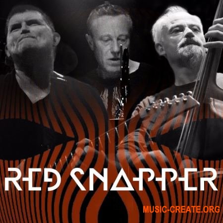 Loopmasters Red Snapper Live Soundscapes (WAV REX) - сэмплы Electronic Loopmasters Red Snapper Live Soundscapes (WAV REX) - сэмплы Electronic