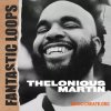Splice Fantastic Loops Thelonious Martin (WAV) - сэмплы Hip Hop Splice Fantastic Loops Thelonious Martin (WAV) - сэмплы Hip Hop