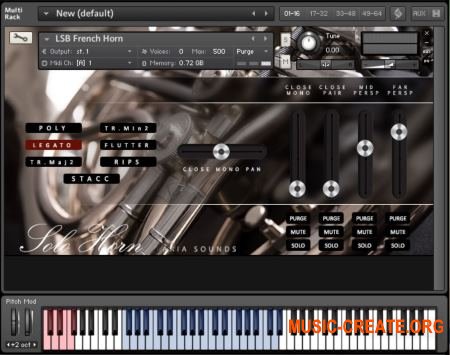 Aria Sounds LSB Solo French Horn (KONTAKT) - библиотека звуков валторны
