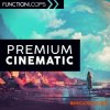 Function Loops Premium Cinematic (WAV MiDi) - кинематографические сэмплы Function Loops Premium Cinematic (WAV MiDi) - кинематографические сэмплы