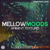 Soundtrack Loops Mellow Moods Ambient Textures (WAV) - сэмплы Ambient, Chillout Soundtrack Loops Mellow Moods Ambient Textures (WAV) - сэмплы Ambient, Chillout