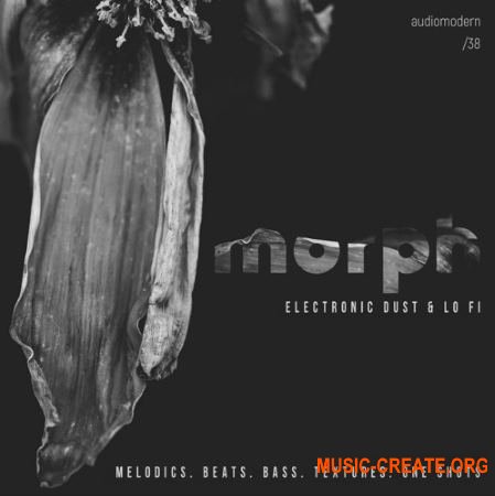 Audiomodern Morph (WAV) - сэмплы Electronic Audiomodern Morph (WAV) - сэмплы Electronic