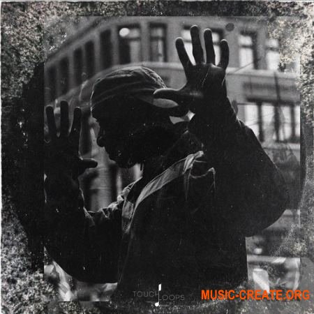 Touch Loops Detroit Techno (WAV) - сэмплы Techno Touch Loops Detroit Techno (WAV) - сэмплы Techno