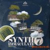MSXII Audio Synth Immaculate 7 (MULTiFORMAT) - сэмплы синтезатора MSXII Audio Synth Immaculate 7 (MULTiFORMAT) - сэмплы синтезатора