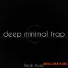 Freak Music Deep Minimal Trap (WAV MiDi VSTi PRESETS DAW TEMPLATE) - сэмплы Minimal Trap