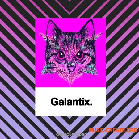 Samplestar Galantix (WAV MiDi) - сэмплы EDM, Future Soul Pop