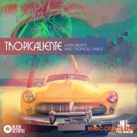 Black Octopus Sound Tropicaliente (WAV) - сэмплы Tropical House, Tech House