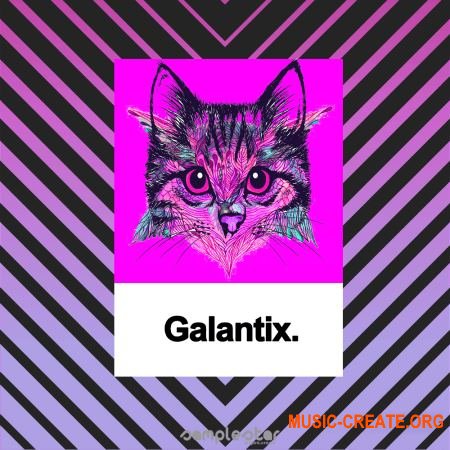 Samplestar Galantix (WAV MiDi) - сэмплы EDM, Future Soul Pop Samplestar Galantix (WAV MiDi) - сэмплы EDM, Future Soul Pop