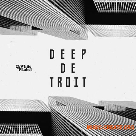 Sample Magic Deep Detroit (MULTiFORMAT) - сэмплы Techno, Deep House, Deep Detroit