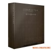 Cinematique Instruments Charakter Piano Collection (KONTAKT) - библиотека фортепиано Cinematique Instruments Charakter Piano Collection (KONTAKT) - библиотека фортепиано