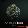 OCTVE.CO Octave OG series Lucchii (WAV XFER RECORDS SERUM) - сэмплы Trap OCTVE.CO Octave OG series Lucchii (WAV XFER RECORDS SERUM) - сэмплы Trap