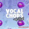 Kits Kreme Vocal Chops and Stabs (WAV) - вокальные сэмплы Kits Kreme Vocal Chops and Stabs (WAV) - вокальные сэмплы