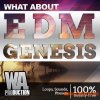 W.A. Production EDM Genesis (WAV MIDI FXP FLP) - сэмплы EDM W.A. Production EDM Genesis (WAV MIDI FXP FLP) - сэмплы EDM