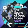 Loopmasters Harley and Muscle Present The Sound Of Deep House Vol 2 (WAV REX) - сэмплы Deep House Loopmasters Harley and Muscle Present The Sound Of Deep House Vol 2 (WAV REX) - сэмплы Deep House