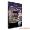 Prominy SR5 Rock Bass 2 v2.0.4 (KONTAKT) Prominy SR5 Rock Bass 2 v2.0.4 (KONTAKT)