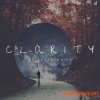 Freak Music Clarity (WAV MiDi SPiRE) - сэмплы Ambient Freak Music Clarity (WAV MiDi SPiRE) - сэмплы Ambient