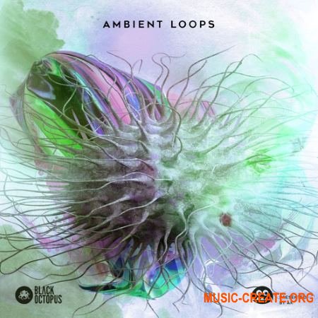 Black Octopus Sound AK: Ambient Loops (WAV) - сэмплы Ambient Black Octopus Sound AK: Ambient Loops (WAV) - сэмплы Ambient