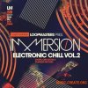 Loopmasters Immersion Electronic Chill 2 (WAV REX) - сэмплы Downtempo, Electronica, Chillout, Hip Hop, Trap Loopmasters Immersion Electronic Chill 2 (WAV REX) - сэмплы Downtempo, Electronica, Chillout, Hip Hop, Trap