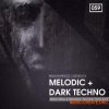 Bingoshakerz Melodic & Dark Techno (WAV) - сэмплы Techno Bingoshakerz Melodic & Dark Techno (WAV) - сэмплы Techno