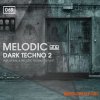 Bingoshakerz Melodic & Dark Techno 2 (WAV) - сэмплы Techno Bingoshakerz Melodic & Dark Techno 2 (WAV) - сэмплы Techno