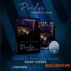 Cinesamples Randy's Prepared Piano (KONTAKT) - библиотека фортепиано Cinesamples Randy's Prepared Piano (KONTAKT) - библиотека фортепиано