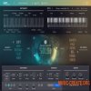 uJAM Virtual Drummer SOLID v2.0.0.2504 CE (Team V.R) - виртуальный инструмент ударных
