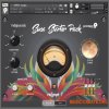 Indigisounds Soca Starter Pack (KONTAKT) - библиотека звуков Soca Indigisounds Soca Starter Pack (KONTAKT) - библиотека звуков Soca