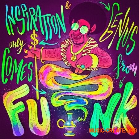 Noiiz Funk Genius (WAV) - сэмплы Funk