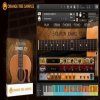 Orange Tree Samples Evolution Jumbo 12 v1.3.0 (KONTAKT) Orange Tree Samples Evolution Jumbo 12 v1.3.0 (KONTAKT)