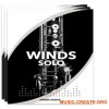 Sonex Audio Woodwinds Solo (KONTAKT) - библиотека деревянных духовых Sonex Audio Woodwinds Solo (KONTAKT) - библиотека деревянных духовых