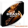 Sonex Audio Brass Solo (KONTAKT) - библиотека звуков сольных духовых инструментов Sonex Audio Brass Solo (KONTAKT) - библиотека звуков сольных духовых инструментов