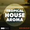 Big EDM Tropical House Aroma (WAV/MIDI/PRESETS) - сэмплы Deep House, Tropical House