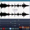QuikQuak Copula v1.1.0 WiN OSX (Team R2R) - плагин изменения скорости и высоты тона QuikQuak Copula v1.1.0 WiN OSX (Team R2R) - плагин изменения скорости и высоты тона