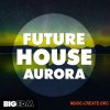 Big EDM Future House Aurora (WAV MIDI FXP SPF) - сэмплы Future House Big EDM Future House Aurora (WAV MIDI FXP SPF) - сэмплы Future House