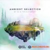 Black Octopus Sound Ambient Selection by AK and Tim Schaufert (WAV Serum Presets) - сэмплы Ambient, Downtempo