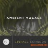 Output Ambient Vocals v2.01 (Exhale Expansion) Output Ambient Vocals v2.01 (Exhale Expansion)