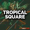 Smokey Loops Tropical Square (WAV MiDi) - сэмплы Tropical House Smokey Loops Tropical Square (WAV MiDi) - сэмплы Tropical House