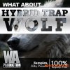 W. A. Production Hybrid Trap WOLF (WAV Serum presets Ableton Templates) - сэмплы Trap, Dubstep W. A. Production Hybrid Trap WOLF (WAV Serum presets Ableton Templates) - сэмплы Trap, Dubstep