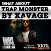 W. A. Production What About Trap Monster By Xavage (WAV Presets) - сэмплы Trap W. A. Production What About Trap Monster By Xavage (WAV Presets) - сэмплы Trap