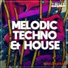 True Samples Melodic Techno & House (WAV MIDi Spire) - сэмплы Techno, Tech House True Samples Melodic Techno & House (WAV MIDi Spire) - сэмплы Techno, Tech House