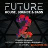 TEAMMBL Sounds Future House, Bounce and Bass Vol.2 (Serum presets) TEAMMBL Sounds Future House, Bounce and Bass Vol.2 (Serum presets)