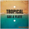 Out Of Your Shell Tropical Sax And Flute (WAV MiDi) - сэмплы Tropical House Out Of Your Shell Tropical Sax And Flute (WAV MiDi) - сэмплы Tropical House