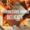 WA Production Progressive House Delicate (FL STUDiO TEMPLATE + WAV MiDi SYLENTH1 PRESETS) - сэмплы Progressive House WA Production Progressive House Delicate (FL STUDiO TEMPLATE + WAV MiDi SYLENTH1 PRESETS) - сэмплы Progressive House