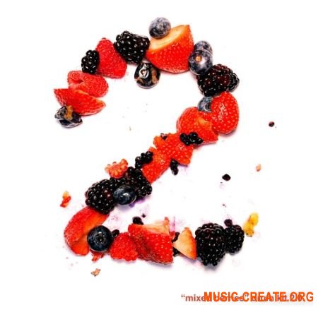 Treesound Records Mike Hector - Mixed Berries Vol.2 Drum Kit (WAV) - сэмплы ударных