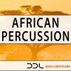 Deep Data Loops African Percussion (WAV) - сэмплы перкуссии Deep Data Loops African Percussion (WAV) - сэмплы перкуссии