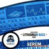 Vandalism Shocking Lithuanian Bass For Serum (Serum presets) Vandalism Shocking Lithuanian Bass For Serum (Serum presets)