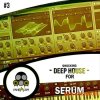 Vandalism - Shocking Deep House For Serum 3 (Serum presets) Vandalism - Shocking Deep House For Serum 3 (Serum presets)