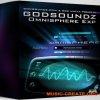 God Soundz Omnisphere XP Vol. 1 Presets Bank (OMNiSPHERE 2) God Soundz Omnisphere XP Vol. 1 Presets Bank (OMNiSPHERE 2)