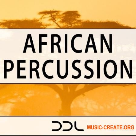 Deep Data Loops African Percussion (WAV) - сэмплы перкуссии Deep Data Loops African Percussion (WAV) - сэмплы перкуссии